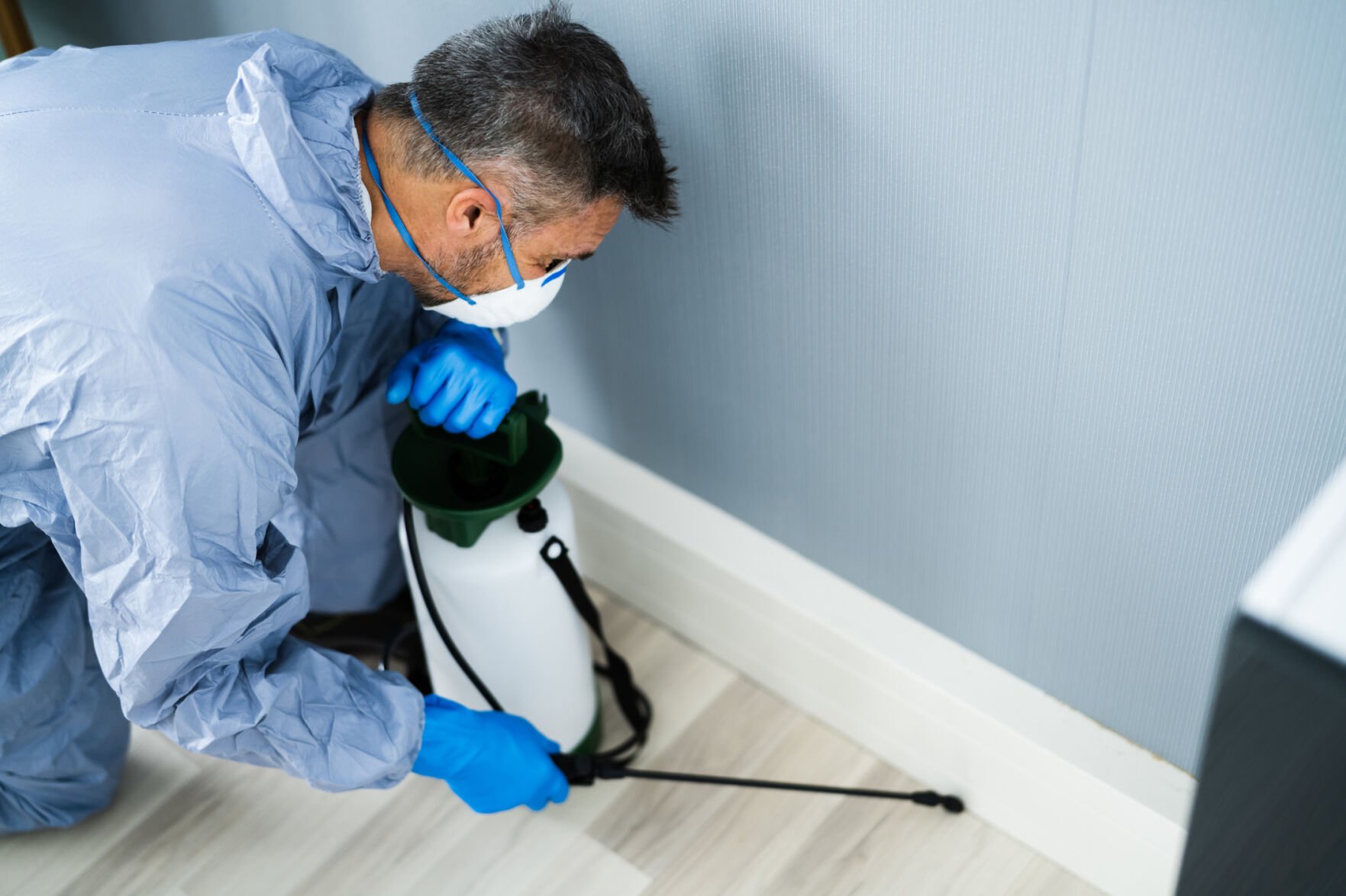 Expert Pest Control Services: Providing Effective Solutions for Pest Problems